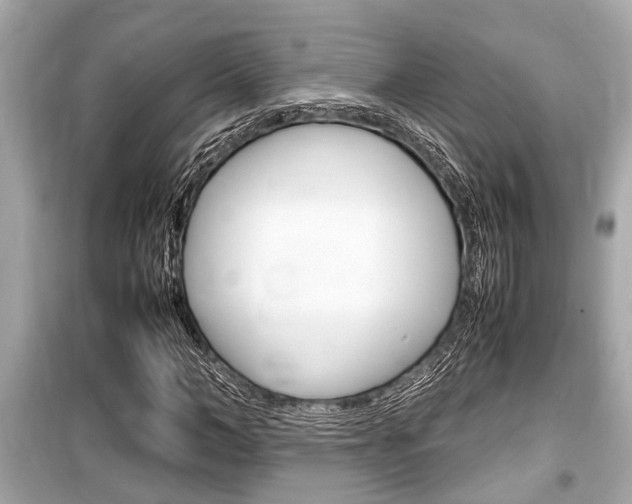 X0000099550966200805160722