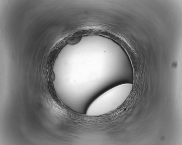 X0000099550967200805160722