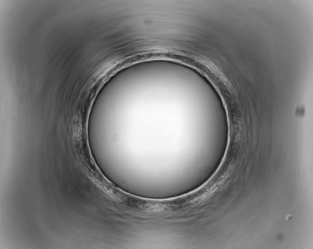 X0000099550969200805160722