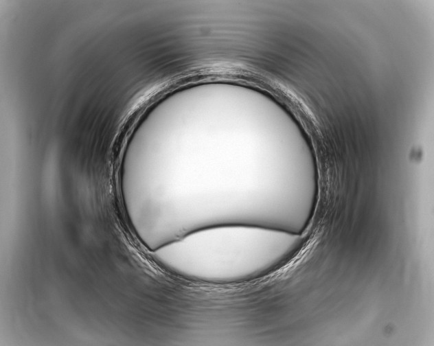 X0000099550970200805160722