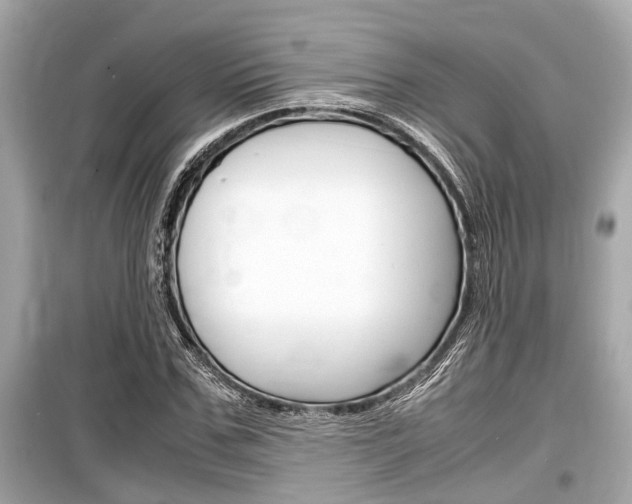 X0000099550971200805160722