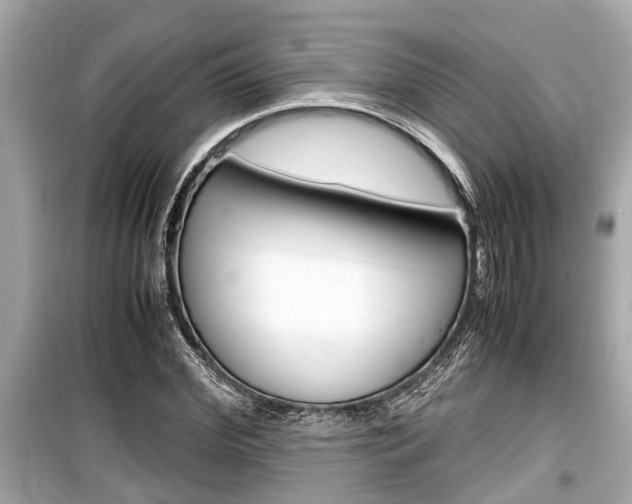 X0000099550972200805160722