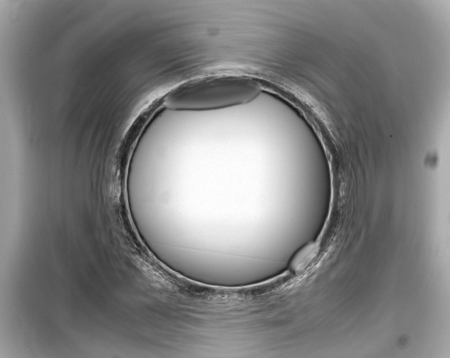 X0000099550973200805160722
