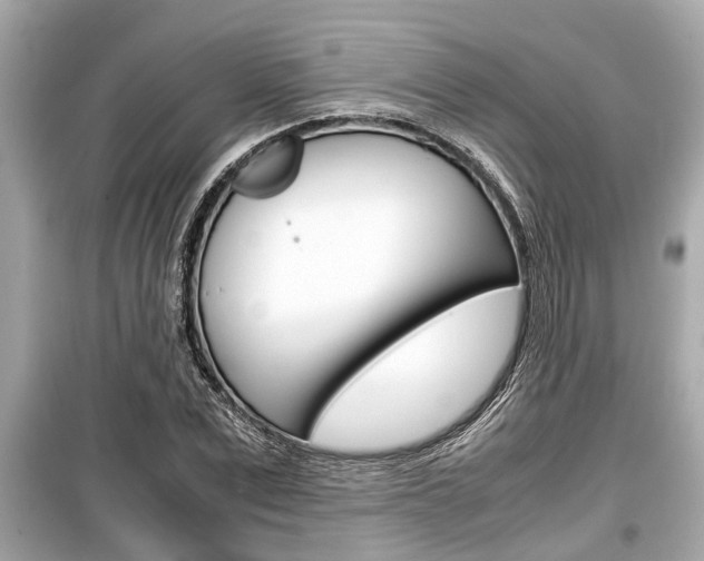 X0000099550975200805160722