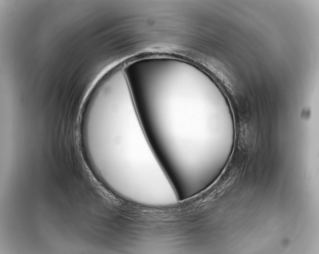 X0000099550976200805160722
