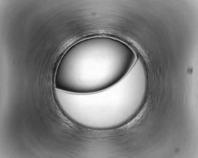 X0000099550977200805160722