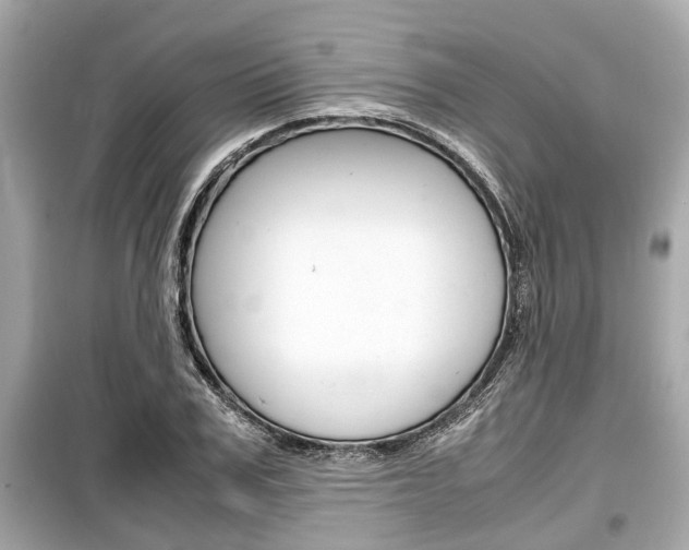 X0000099550979200805160722