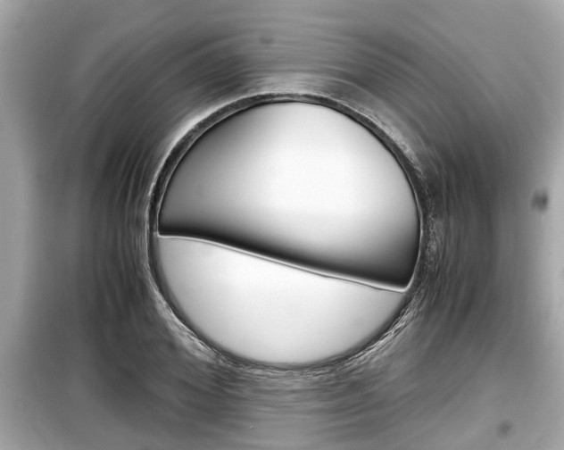 X0000099550980200805160722