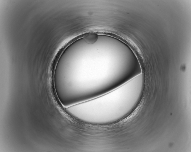 X0000099550981200805160722