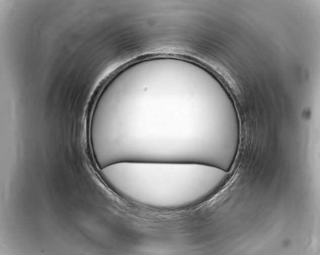 X0000099550982200805160722