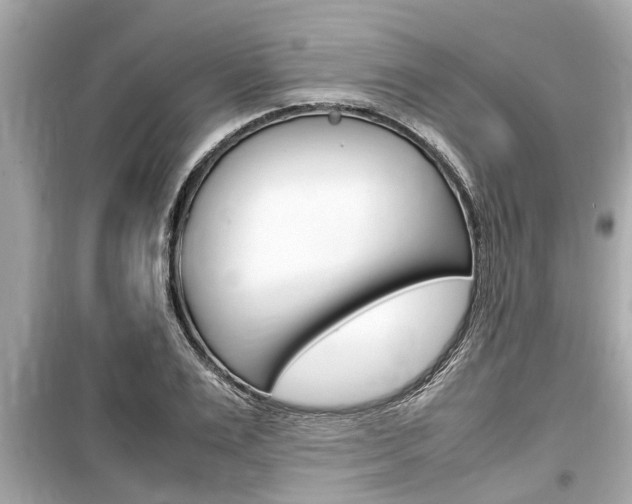 X0000099550983200805160722