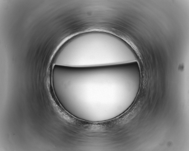 X0000099550984200805160722