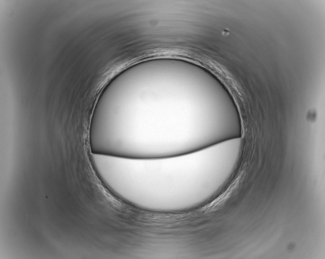 X0000099550985200805160722