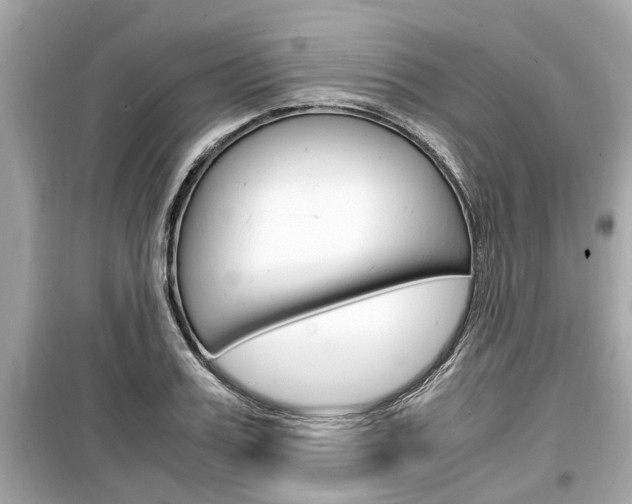 X0000099550987200805160722