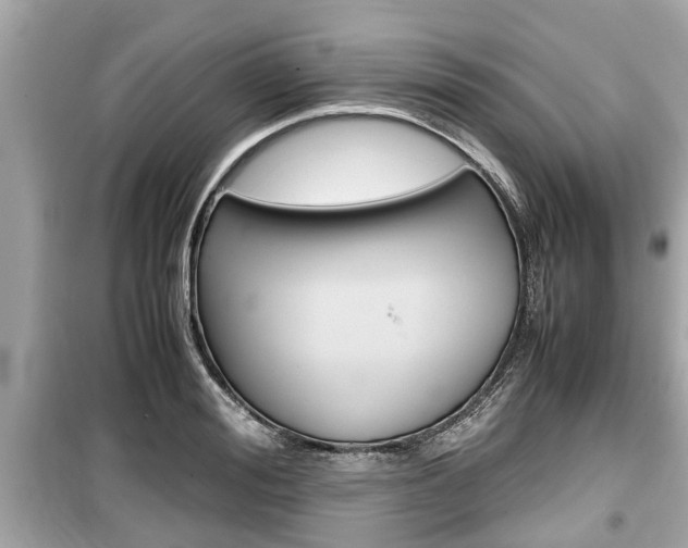 X0000099550988200805160722