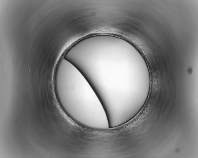 X0000099550990200805160722