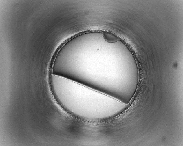 X0000099550991200805160722