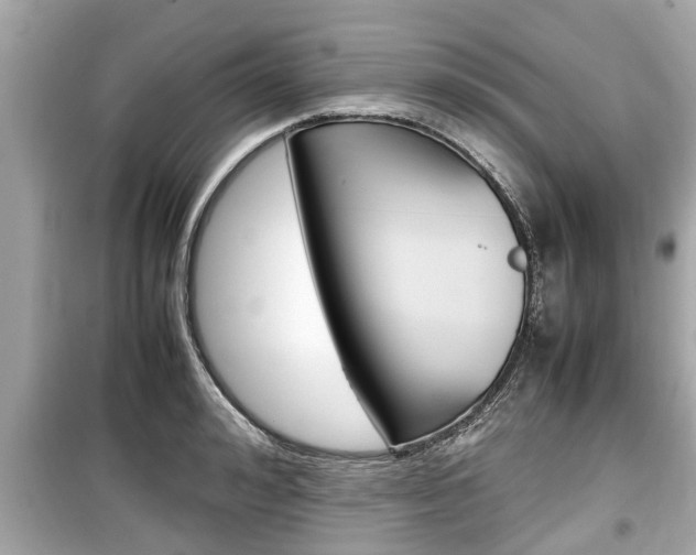 X0000099550992200805160722