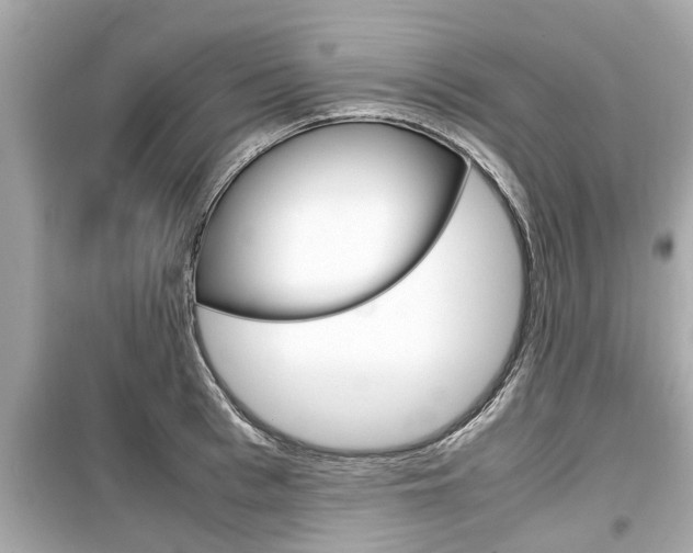 X0000099550993200805160722