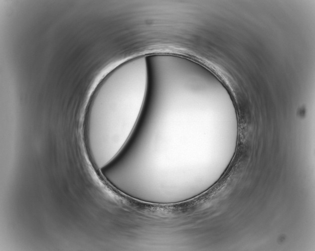 X0000099550995200805160722