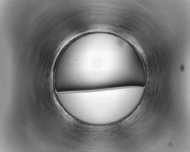 X0000099550996200805160722