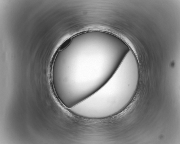 X0000099550997200805160722