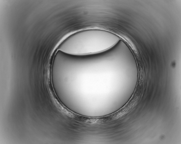 X0000099551000200805160722