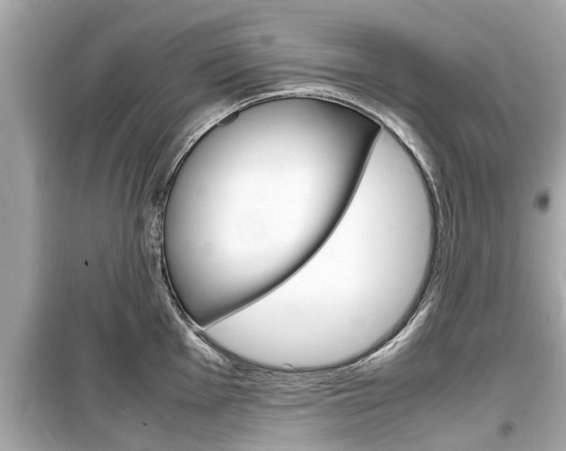 X0000099551001200805160722