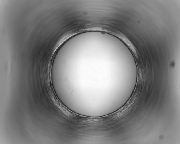 X0000099551002200805160722