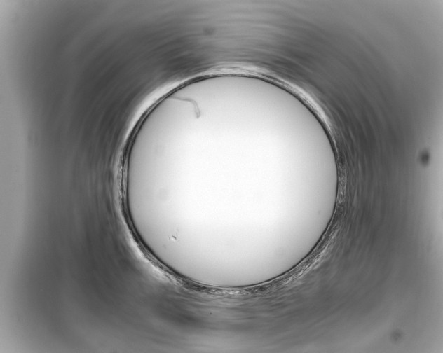X0000099551003200805160722