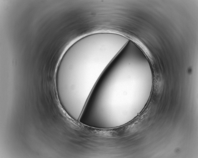 X0000099551004200805160722