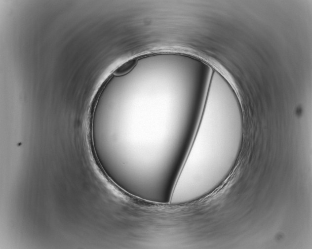 X0000099551005200805160722