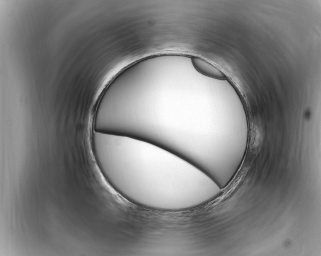 X0000099551006200805160722