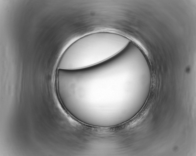 X0000099551007200805160722