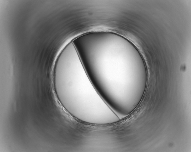 X0000099551008200805160722