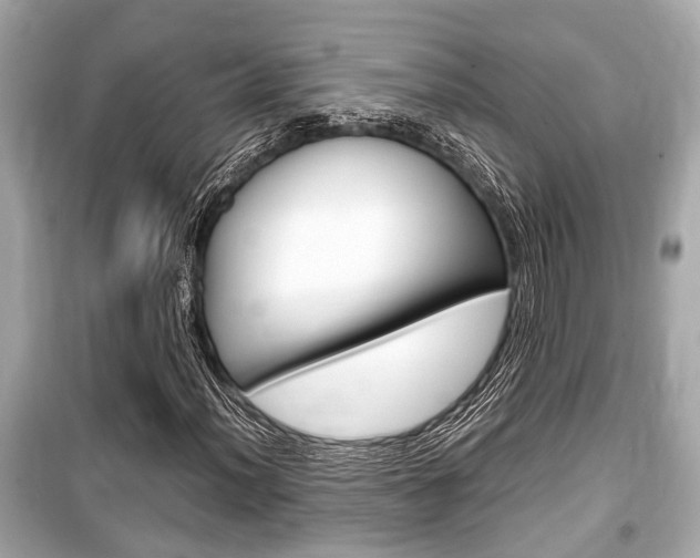 X0000099551012200805160721