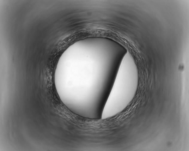 X0000099551013200805160721