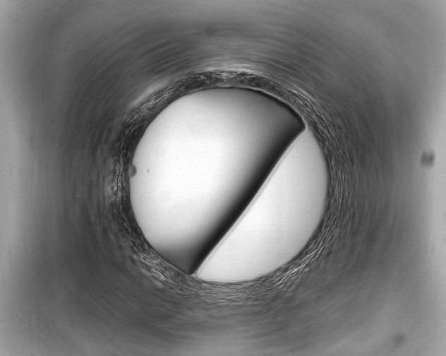 X0000099551014200805160721
