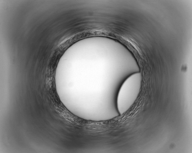 X0000099551015200805160721