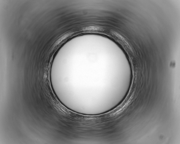 X0000099551017200805160721