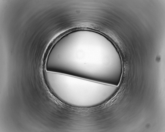 X0000099551020200805160721