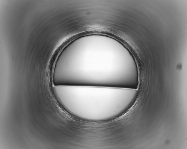 X0000099551022200805160721