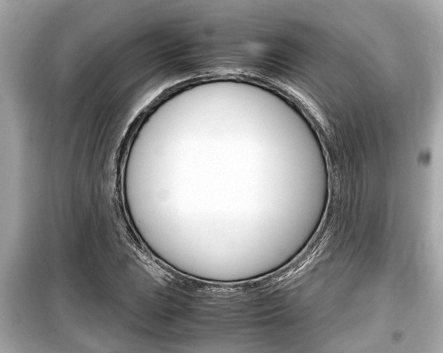 X0000099551023200805160721