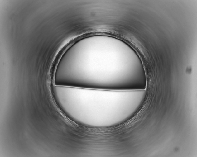 X0000099551024200805160721