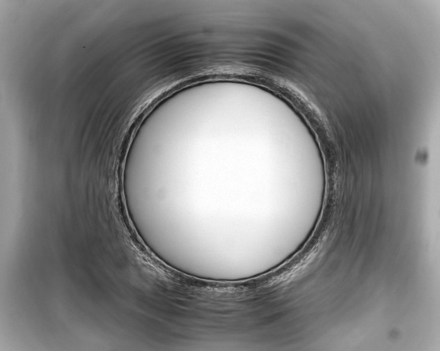 X0000099551025200805160721