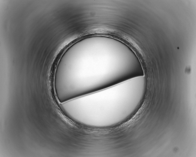 X0000099551026200805160721