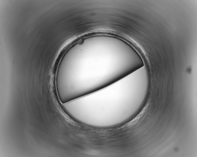 X0000099551029200805160721