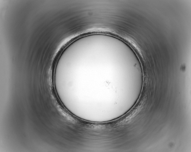 X0000099551030200805160721