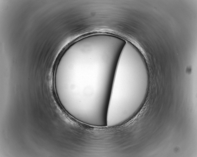 X0000099551032200805160721