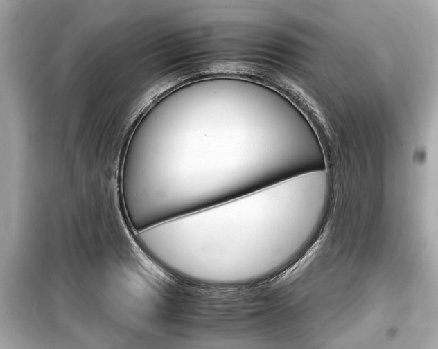 X0000099551033200805160721